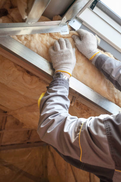 Best Wall Insulation Installation  in Glen Ellyn, IL